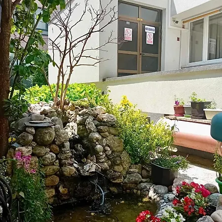 Hortenzija * Sarajevo